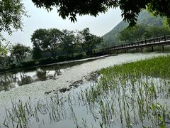 -八卦田遗址公园