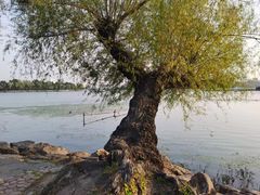 -长春市南湖公园