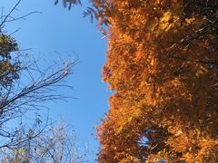 -贵阳市花溪国家城市湿地公园