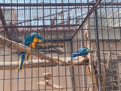 -石家庄市动物园