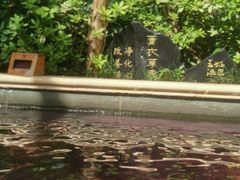-苏州湾·王焰温泉