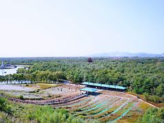 -南戴河国际娱乐中心