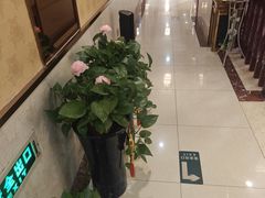 -家富富侨足道会馆(望京店)