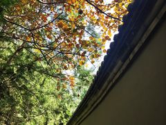 -北京凤凰岭