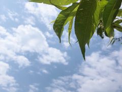 -崂山巨峰游览区