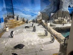 -成都浩海立方海洋公园