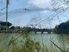 -松山湖南湖湾露营营地