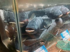 -上名堂·鱼头好吃(体育场路店)