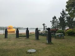 -杭州湾海上花田景区