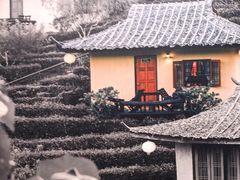 -奈雪的茶(花城汇中区PRO店)