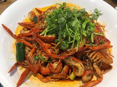 澳洲小青龙仔-驻海渔市(置信店)