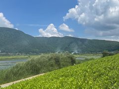 -腾冲北海湿地