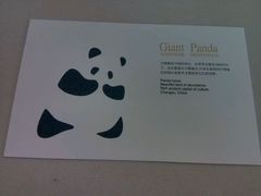 -熊猫邮局(少城店)