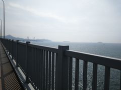 -星海湾跨海大桥