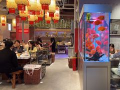 -朱光玉火锅馆(正弘城店)