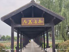 -陶辛水韵
