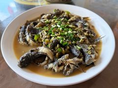 野生木卵鱼-领鲜土菜馆