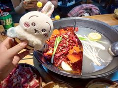 -阳阳老火锅(小南门店)