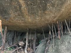 景点-火炉山森林公园