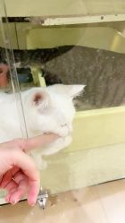 -染墨儿童摄影(转塘店)