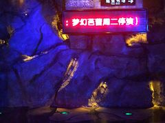 -芜湖新华联大白鲸海洋公园