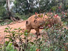 -云南野生动物园