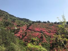 -木兰云雾山