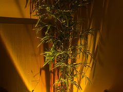 -宁采臣Sleep·采耳·SPA放松馆(湖里万达店)