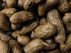 -老地方烤肉(东岗路店)