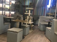 -小时光咖啡馆(开森度假森林店)