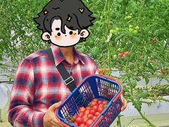 -长洲岛都市农业公园