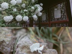 -沧浪亭