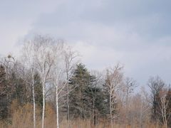 -长白山万达国际度假区