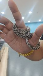 -Moni星球萌宠·小马宝莉·灵蛇·高端高阶全萌宠互动体验俱乐部(红豆国际广场店)