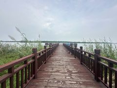 -南湖湿地公园