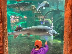 -华夏文旅海洋公园