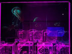 -沈阳海洋探索中心