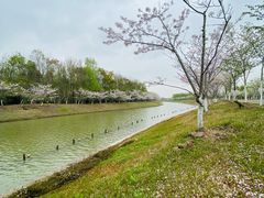 -上海海湾国家森林公园