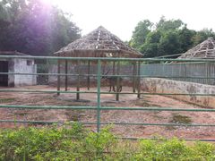 -广东茂名森林公园