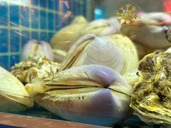 -白仁仔· 活烤海鲜 宵夜(豫园店)