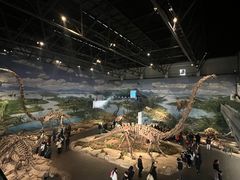 -自贡恐龙博物馆