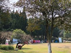 -白马涧龙池景区