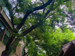 -北京市东四九条小学