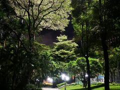 -荔香公园