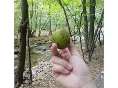 -三块石国家森林公园