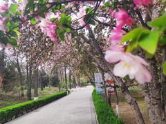 -唐山抗震纪念碑广场