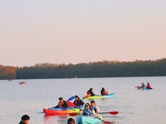 -上海海湾国家森林公园