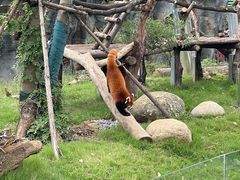 -武汉动物园