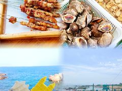 -海合安青岛极地海洋公园