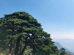 -黄山风景区